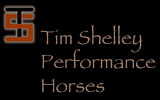 Tim Shelley Performance Horses