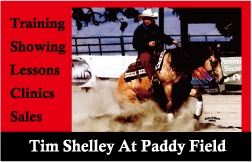 Tim Shelley Performance Horses